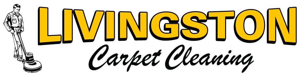 Carpet Cleaning in Livingston, MS